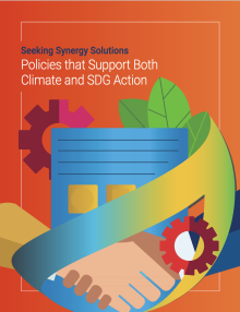 Seeking synergy solutions: policies that support both climate and SDG action